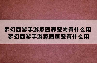 梦幻西游手游家园养宠物有什么用 梦幻西游手游家园萌宠有什么用